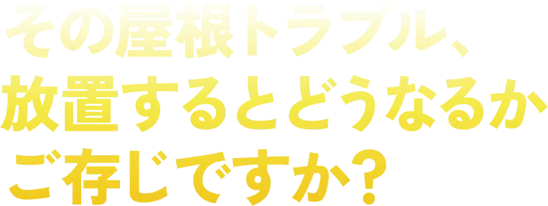 その屋根トラブル、放置するとどうなるかご存じですか?