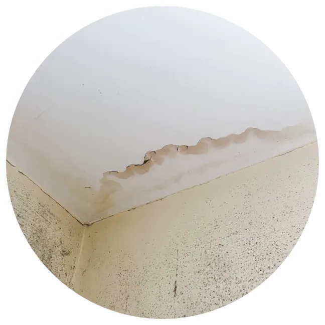 天井や壁にシミが出てきた