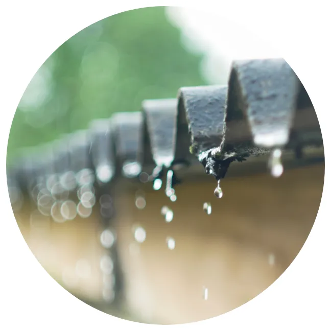 雨の日にポタポタ音がする