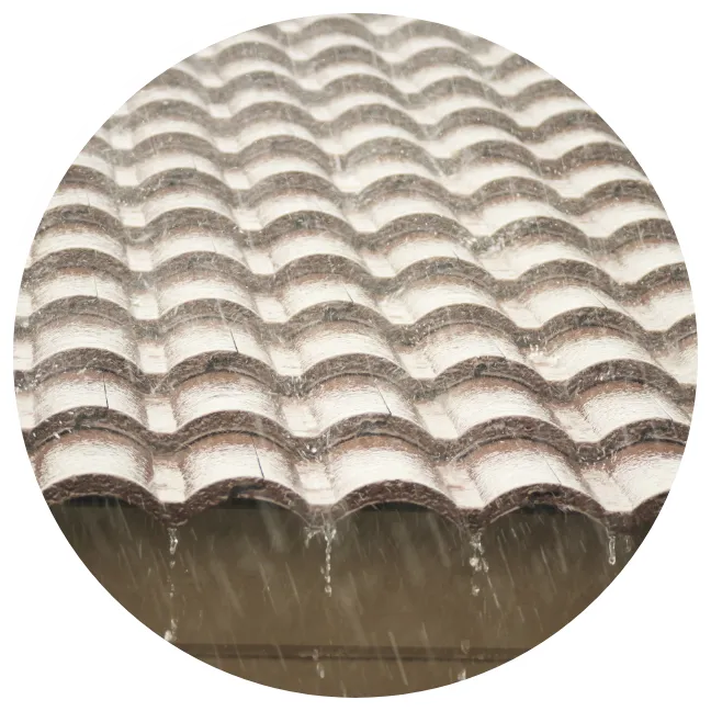 強風・台風のあとから気になる